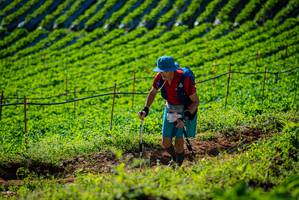 BIB: 
                            <button type="button" onclick="openModal(19160658)" class="btn btn-primary btn-sm float-right btn-popup" data-toggle="modal" data-target=".modal-high-quality">
                        <i class="fas fa-shopping-cart"></i> Add to Cart
                    </button>
                                            <button type="button" onclick="isThisMe(19160658, true)" class="btn btn-success btn-sm float-right btn-popup btn-isme hidden" data-toggle="tooltip" data-placement="bottom" title="นี่คือรูปของคุณใช่ไหม คลิกที่นี่เพื่อเอาเข้าอัลบั้ม">
                        <i class="fas fa-plus"></i> Add to album
                    </button>
                    <button type="button" onclick="isThisMe(19160658, false)" class="btn btn-warning btn-sm float-right btn-popup btn-isnotme hidden">
                        <i class="fas fa-ban"></i> Remove from album
                    </button>